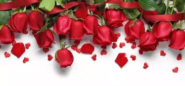 2018年度云南省綠色食品“十大名品”評(píng)選結(jié)果公示