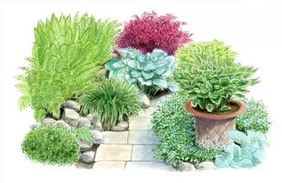 愛世園小伙伴 花境小科普，為迎接花卉盛宴做準(zhǔn)備